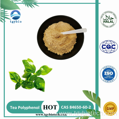 Natural 98% Tea polyphenol Green Tea Extract Powder